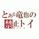 とある竜也の禁止トイレ（ボットン）