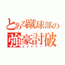 とある蹴球部の強豪討破（ビクトリー）