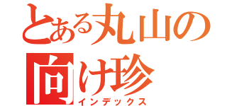 とある丸山の向け珍（インデックス）