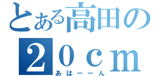 とある高田の２０ｃｍ（あはーーん）