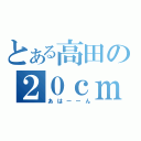 とある高田の２０ｃｍ（あはーーん）