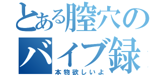 とある膣穴のバイブ録（本物欲しいよ）