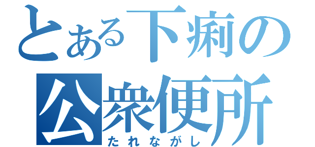 とある下痢の公衆便所（たれながし）