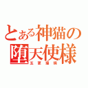 とある神猫の堕天使様（五更瑠璃）