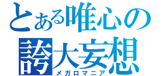 とある唯心の誇大妄想（メガロマニア）