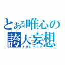 とある唯心の誇大妄想（メガロマニア）