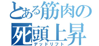 とある筋肉の死頭上昇（デッドリフト）