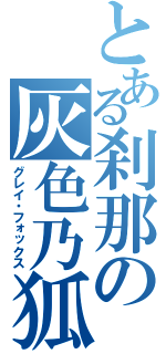 とある刹那の灰色乃狐（グレイ・フォックス）