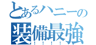 とあるハニーの装備最強（！！！！）