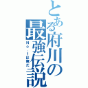 とある府川の最強伝説Ⅱ（Ｎｏ．１は俺だ）