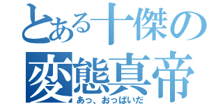 とある十傑の変態真帝（あっ、おっぱいだ）