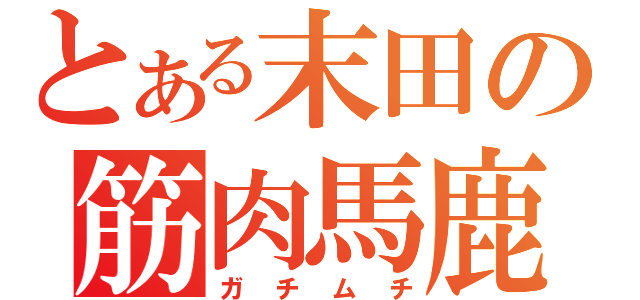 とある末田の筋肉馬鹿（ガチムチ）