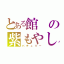 とある館の紫もやし（パチュリー）