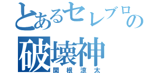 とあるセレブロの破壊神（関根涼太）