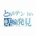 とあるテントの蛞蝓発見（ナメクジ）