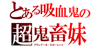 とある吸血鬼の超鬼畜妹（フランドール・スカーレット）