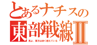 とあるナチスの東部戦線Ⅱ（見よ、東方は赤く燃えている）