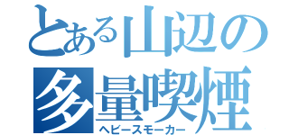 とある山辺の多量喫煙（ヘビースモーカー）