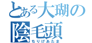 とある大瑚の陰毛頭（ちりげあたま）