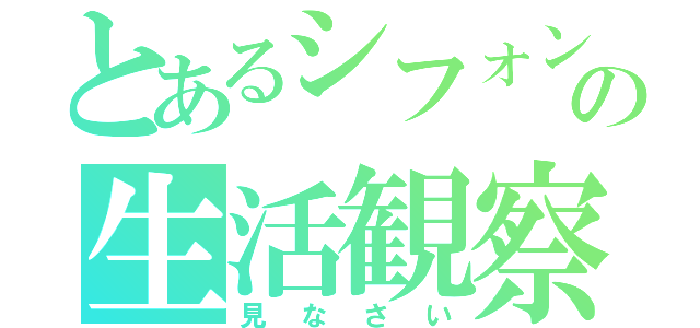 とあるシフォンの生活観察（見なさい）