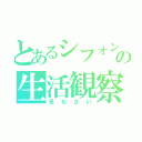 とあるシフォンの生活観察（見なさい）