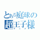 とある庭球の超王子様（テニヌ）