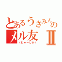 とあるうさみんのメル友Ⅱ（（じゅーじか））