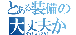 とある装備の大丈夫か？（ダイジョウブカ？）