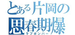 とある片岡の思春期爆発（ラブボンバー）