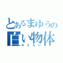 とあるまゆうの白い物体（みえない）