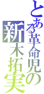 とある革命児の新木拓実（）