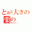 とある大きの栗の（木の下で・・・）