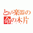 とある楽器の命の木片（リード）