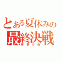 とある夏休みの最終決戦（宿題の山）