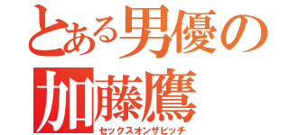 とある男優の加藤鷹（セックスオンザビッチ）