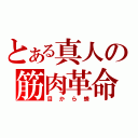 とある真人の筋肉革命（目から蜂）