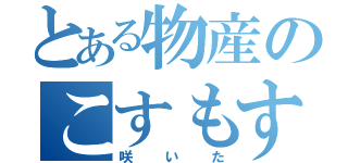 とある物産のこすもす（咲いた）