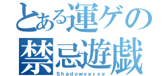 とある運ゲの禁忌遊戯（Ｓｈａｄｏｗｖｅｒｓｅ）