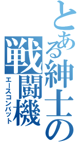 とある紳士の戦闘機（エースコンバット）