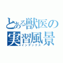 とある獣医の実習風景（インデックス）