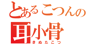 とあるこつんの耳小骨（きぬたこつ）