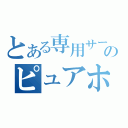 とある専用サーバーのピュアホスティング（）