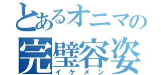 とあるオニマの完璧容姿（イケメン）