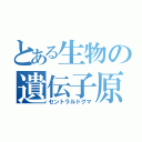 とある生物の遺伝子原則（セントラルドグマ）