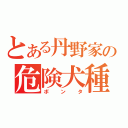 とある丹野家の危険犬種（ボンタ）