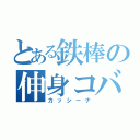 とある鉄棒の伸身コバチ１回ひねり（カッシーナ）