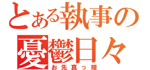 とある執事の憂鬱日々（お先真っ暗）