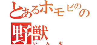 とあるホモビのの野獣（いんむ）