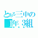 とある三中の１年３組（動物園）