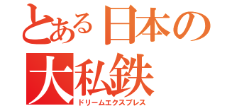 とある日本の大私鉄（ドリームエクスプレス）